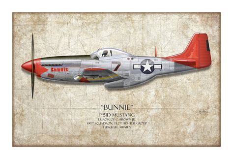 P 51 Mustang Tuskegee Airmen