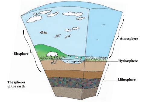 Earths Biosphere