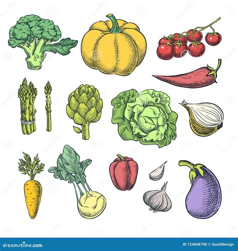 Farm Fresh Vegetables Set Vector Sketch Illustration Stock Vector