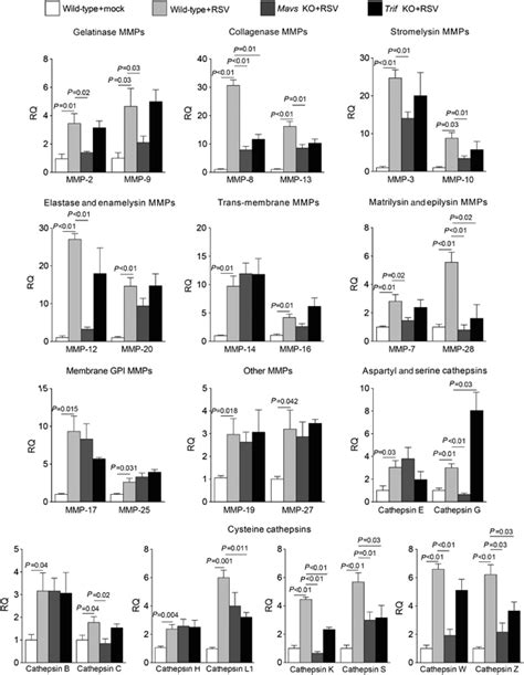 Mitochondrial Antiviral Signaling Protein MAVS Is Required For The