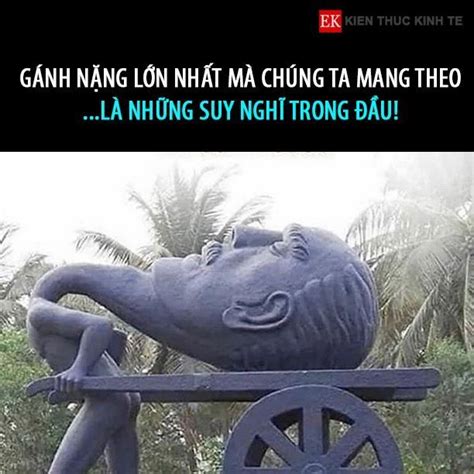 Ghim của you shut the fuck up trên vì quá sồu nên tôu ghim mấy cái ảnh này vào Meme
