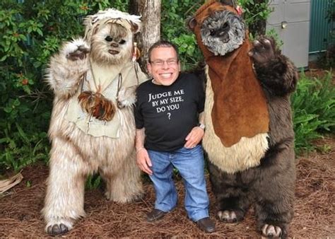 Star Wars Episode Vii Warwick Davis Confirms Role