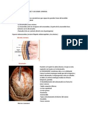 Manual De Proyecciones Radiol Gicas Versi N Compartida Pdf