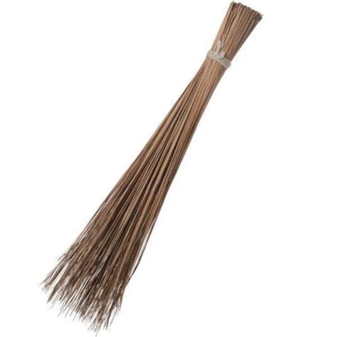 walis clip art pony pictures post perseveres page