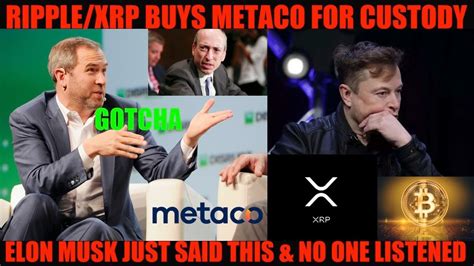 Game Changer Ripple Xrp Buys Metaco For Custody Elon Musk Just Said