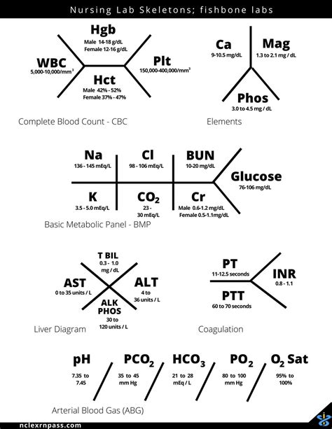 Unraveling The Complexity How Fishbone Diagrams Help Improve Medicine Labs