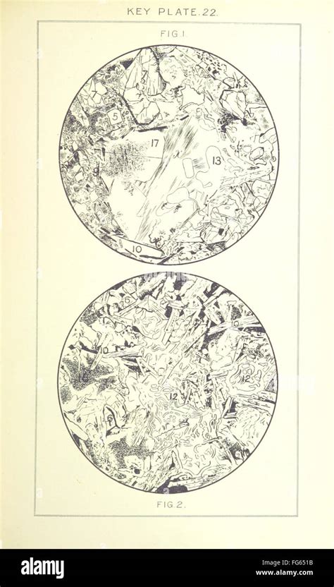 51 of 'British Petrography; with special reference to the igneous rocks ...