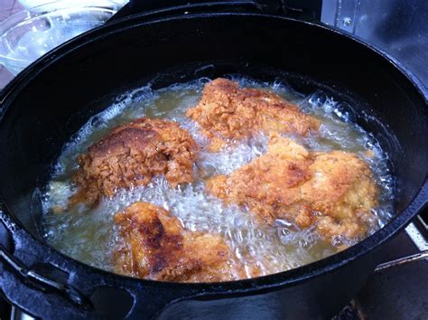 Crazy Deliciousness: Amazing Dutch Oven Chicken