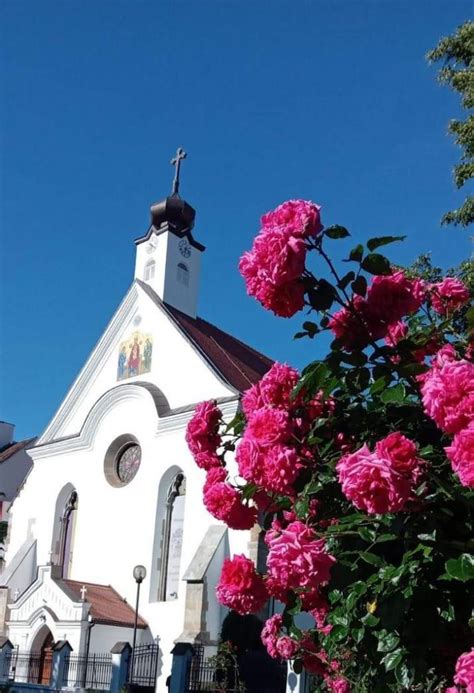 Episcopii Benedict I Macarie Dar I Icoana F C Toare De Minuni