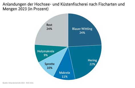 BMEL Statistik Anlandungen