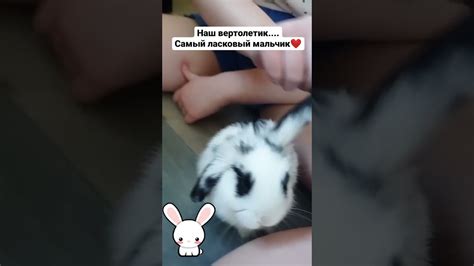 Кроль - кроль🐰 - YouTube