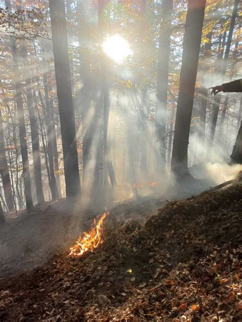 Khd Brandeinsatz Schneeberg Freiwillige Feuerwehr Ruprechtshofen