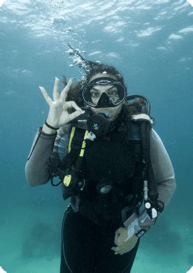 Project Aware Fish Identification Texas Scuba Academy Open Water