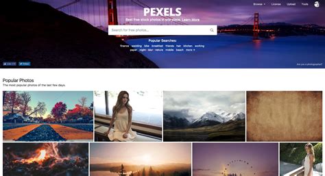 Pexels : présentation et fonctionnalités - BDM/tools