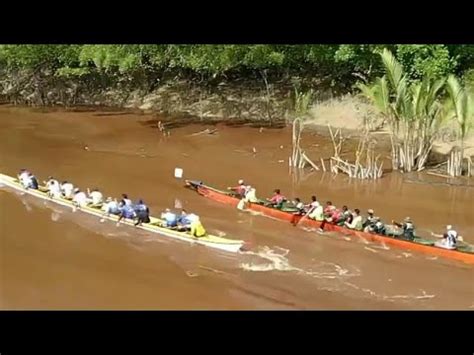 Bidar Pekayuh Lelaki Regatta Lingga Youtube