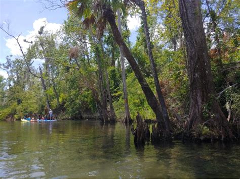 The Apalachicola River Basin - The International Palm Society