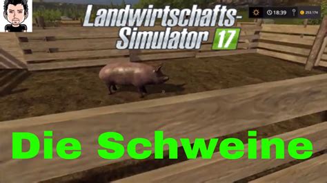 LS 17 Südhemmern 014 Schweine Landwirtschafts Simulator 17 YouTube