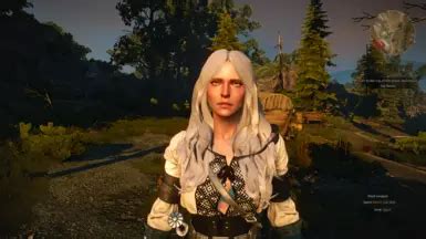 Fuck At The Witcher 3 Nexus Mods And Community