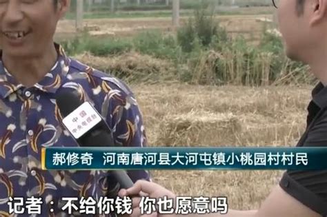 种植小麦地区的农民朋友们不用愁了，河南唐河变废为宝的秸秆