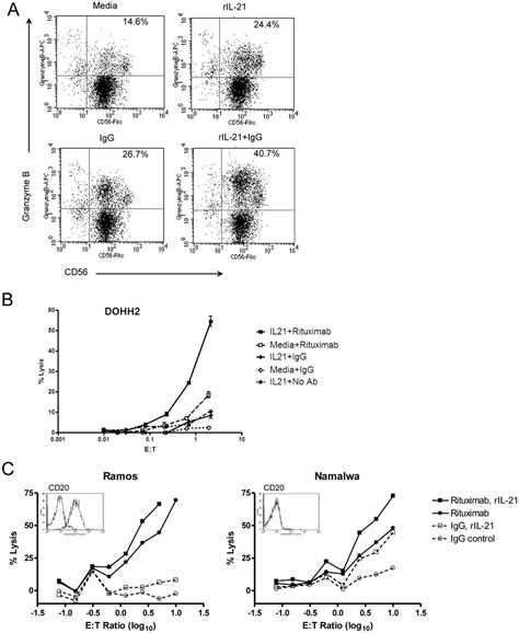 Treatment With Ril 21 Enhances Adcc Activity In Human Nk Cells A