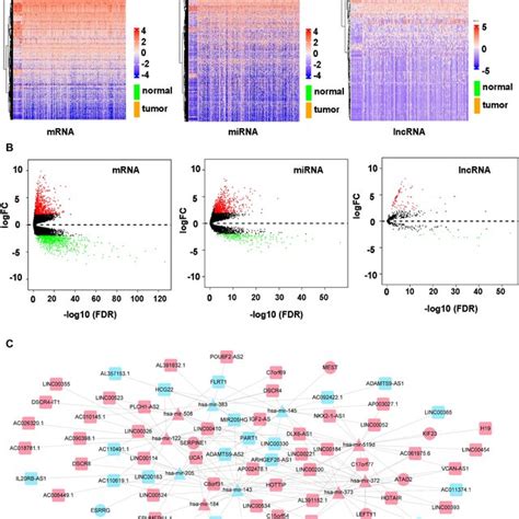 Volcano Plots And Heatmaps Of Differentially Expressed Mrnas Mirnas