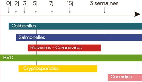 Nutrition Ruminant Et Bovin Croissance Elevage Et Engraissement