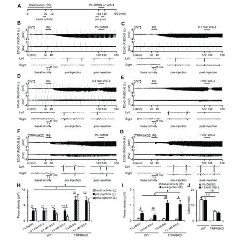 Exacerbation Of Seizure Score By Lack Of Trpm Channels Mean Seizure