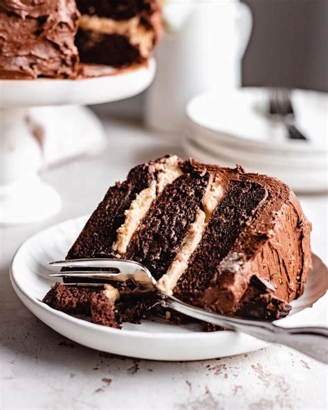 Vegan Chocolate Peanut Butter Cake By The Bananadiaries Quick And Easy Recipe The Feedfeed