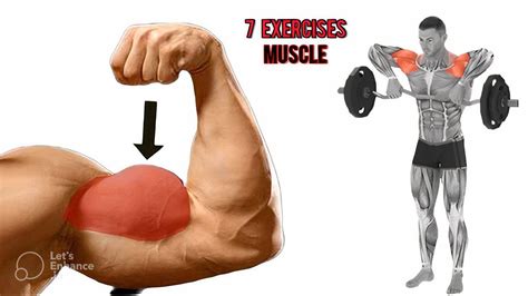 7 Best Exercises For Wider Biceps YouTube