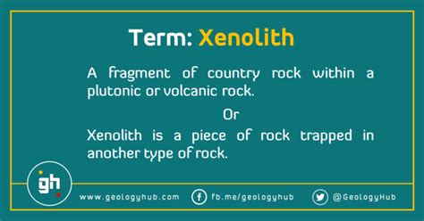 What is Xenolith? Definition and Formation Process