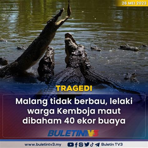 Buletin Tv On Twitter Tragedi Kira Kira Ekor Buaya Membaham