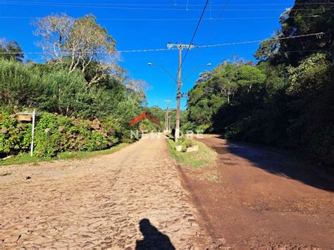 Lote Terreno Na Avenida Ximango Colinas Em S O Francisco De Paula