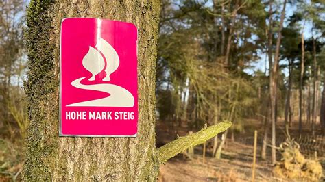 Überblick Hohe Mark Steig Mein Band zur Natur