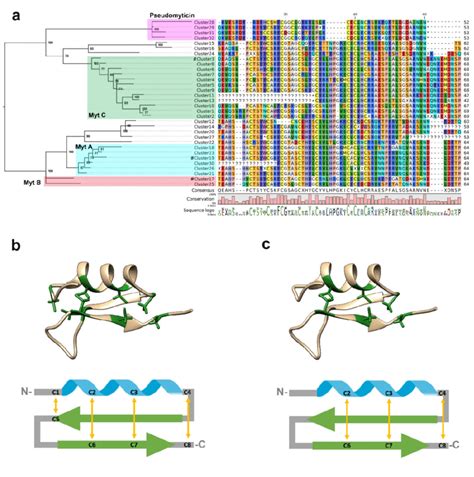 Clusters Phylogenetic Analysis And Alignment A A Consensus Sequence