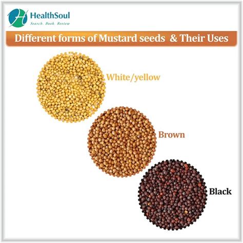 Mustard Seed Benefits Healthsoul