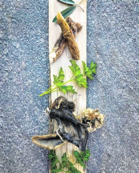 Naked Beasts Lamb Ear Pug Hound Pet Apothecary