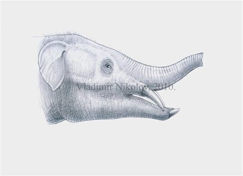 Palaeomastodon by T-PEKC on DeviantArt