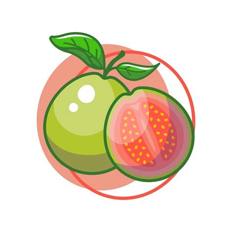 Premium Vector | Guava fruit drawing illustration design