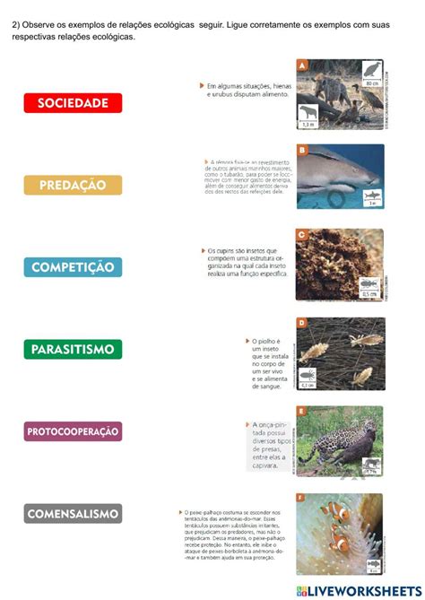 Questões Sobre Relações Ecológicas 7 Ano - 9