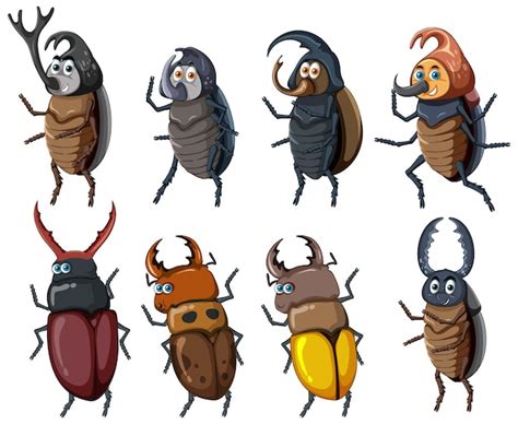 Conjunto De Diferentes Insectos Y Escarabajos En Estilo De Dibujos