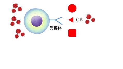 5分で分かるプチ科学06｜mbainternship