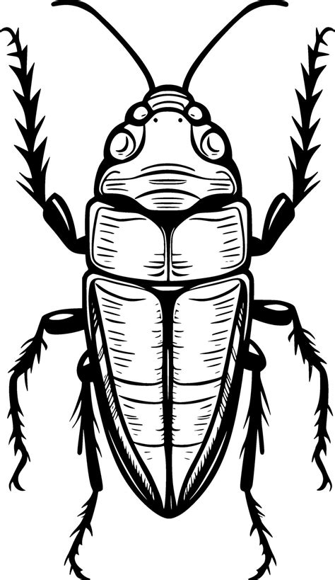 art cockroach cartoon 33022851 Vector Art at Vecteezy