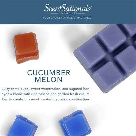 Cucumber Melon Scented Wax Melts Scentsationals 25 Oz 1 Pack