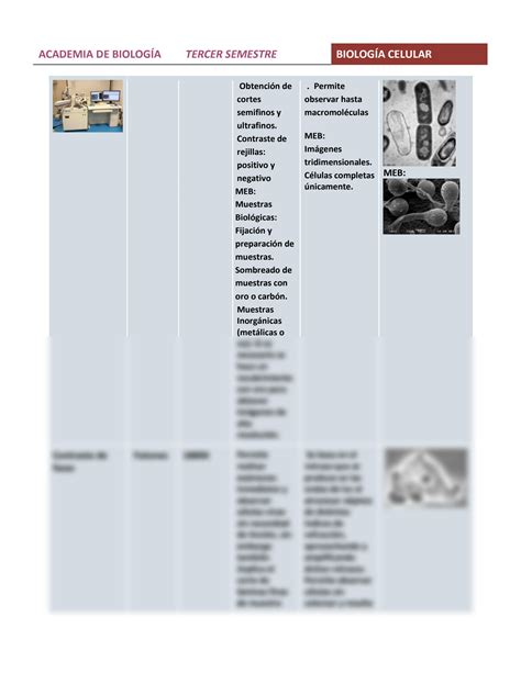 Solution Cuadro Comparativo De Los Microscopios Studypool The