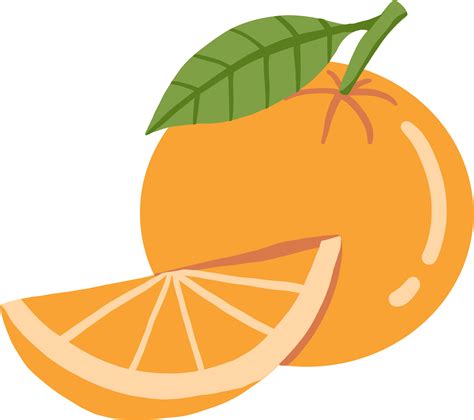 Doodle Freehand Sketch Drawing Of Orange Fruit Png