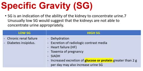 Specific Gravity Of Urine | Renew Physical Therapy