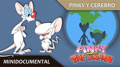 Pinky Y Cerebro Rese A An Lisis Historia Minidocumental