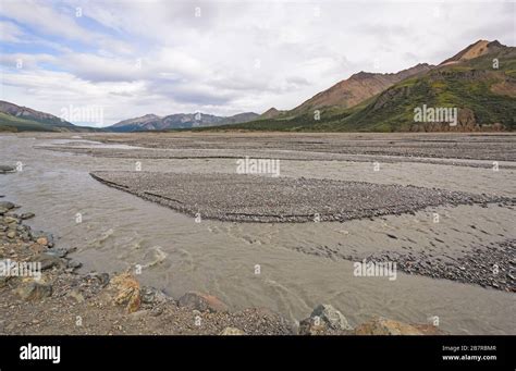 Glacial Braided Toklat River River in the Wilds of Denali National Park ...