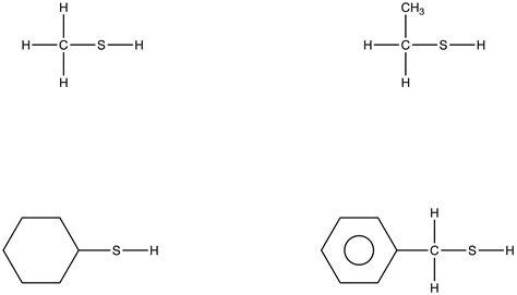 Sulfhydryl Group Model