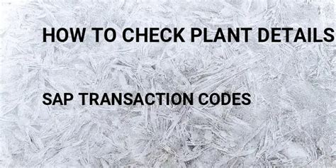 How To Check Plant Details Tcode In Sap Transaction Codes List